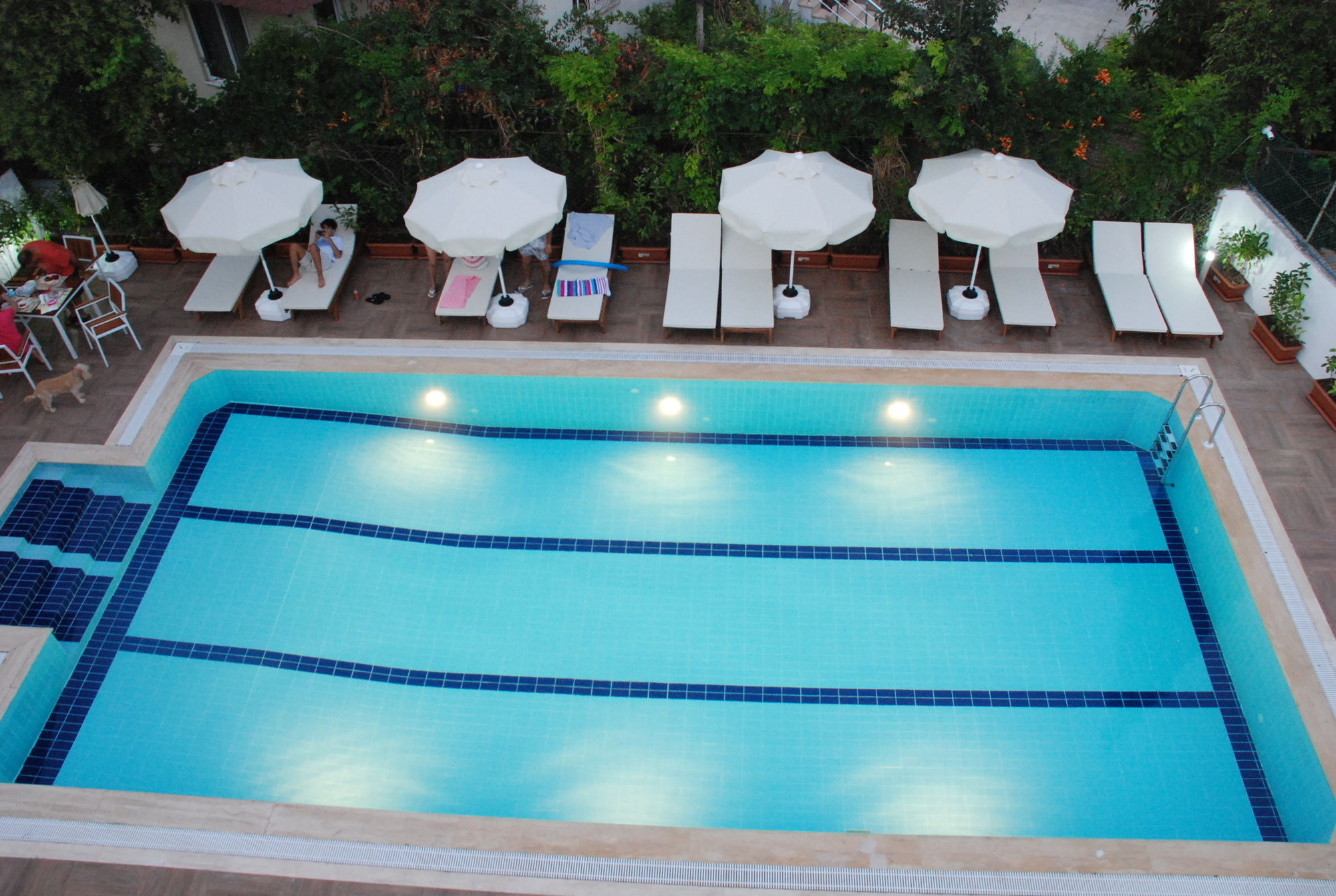 Elegance Hotel Kemer Zewnętrze zdjęcie
